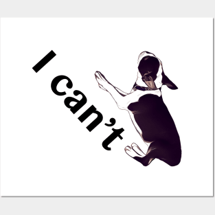 I can't Posters and Art